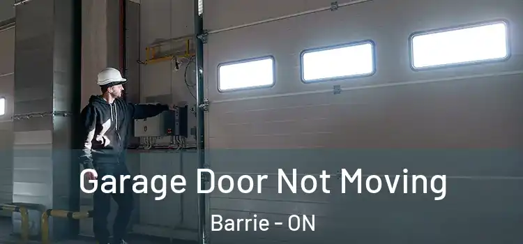  Garage Door Not Moving Barrie - ON