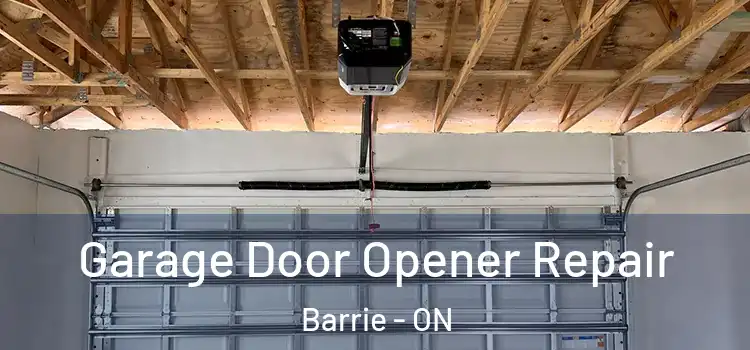  Garage Door Opener Repair Barrie - ON