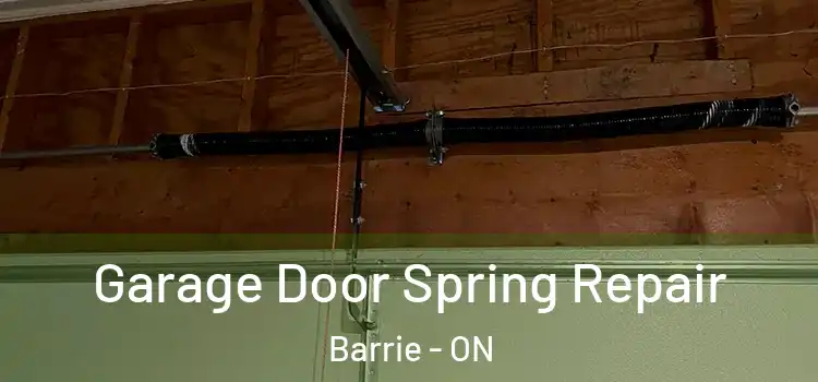  Garage Door Spring Repair Barrie - ON