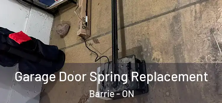  Garage Door Spring Replacement Barrie - ON
