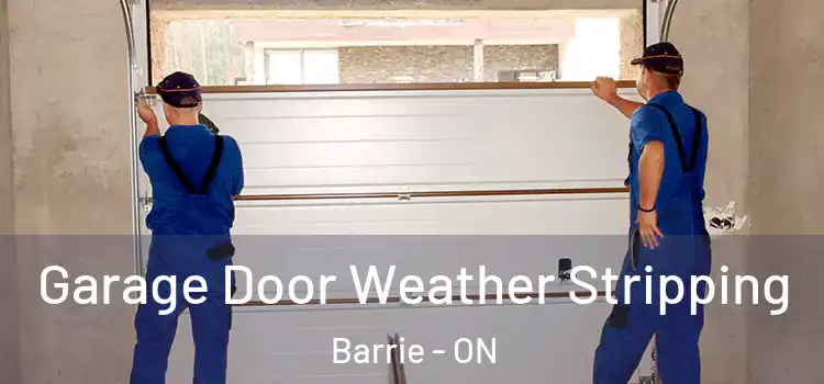  Garage Door Weather Stripping Barrie - ON