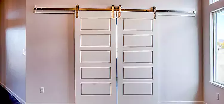 Glass Barn Door with Installation Hardware Kit Barrie