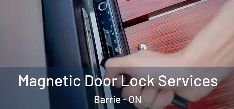  Magnetic Door Lock Services Barrie - ON
