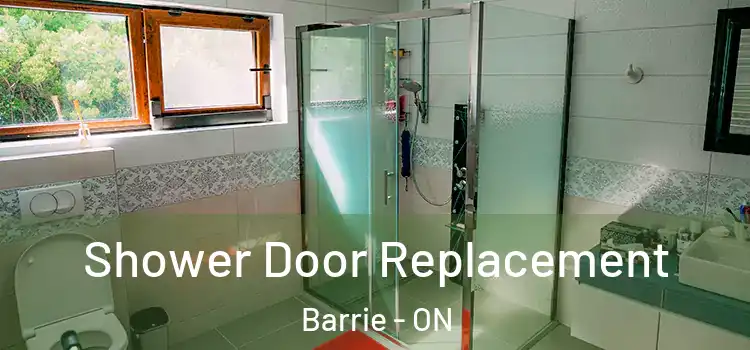  Shower Door Replacement Barrie - ON
